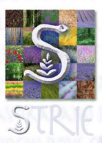 strie